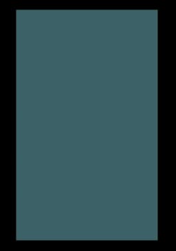 Petrol