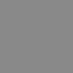 Grey Mouse